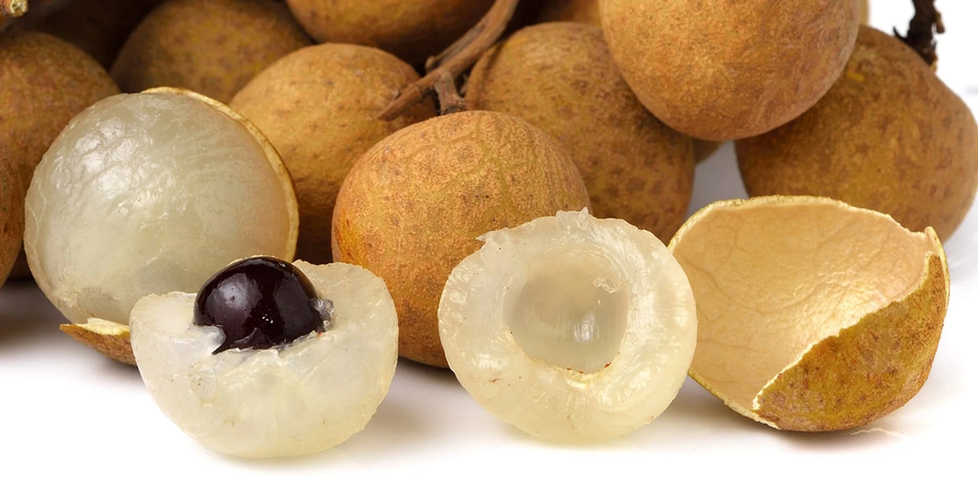 Bobapedia – Dragon’s Eye / Longan