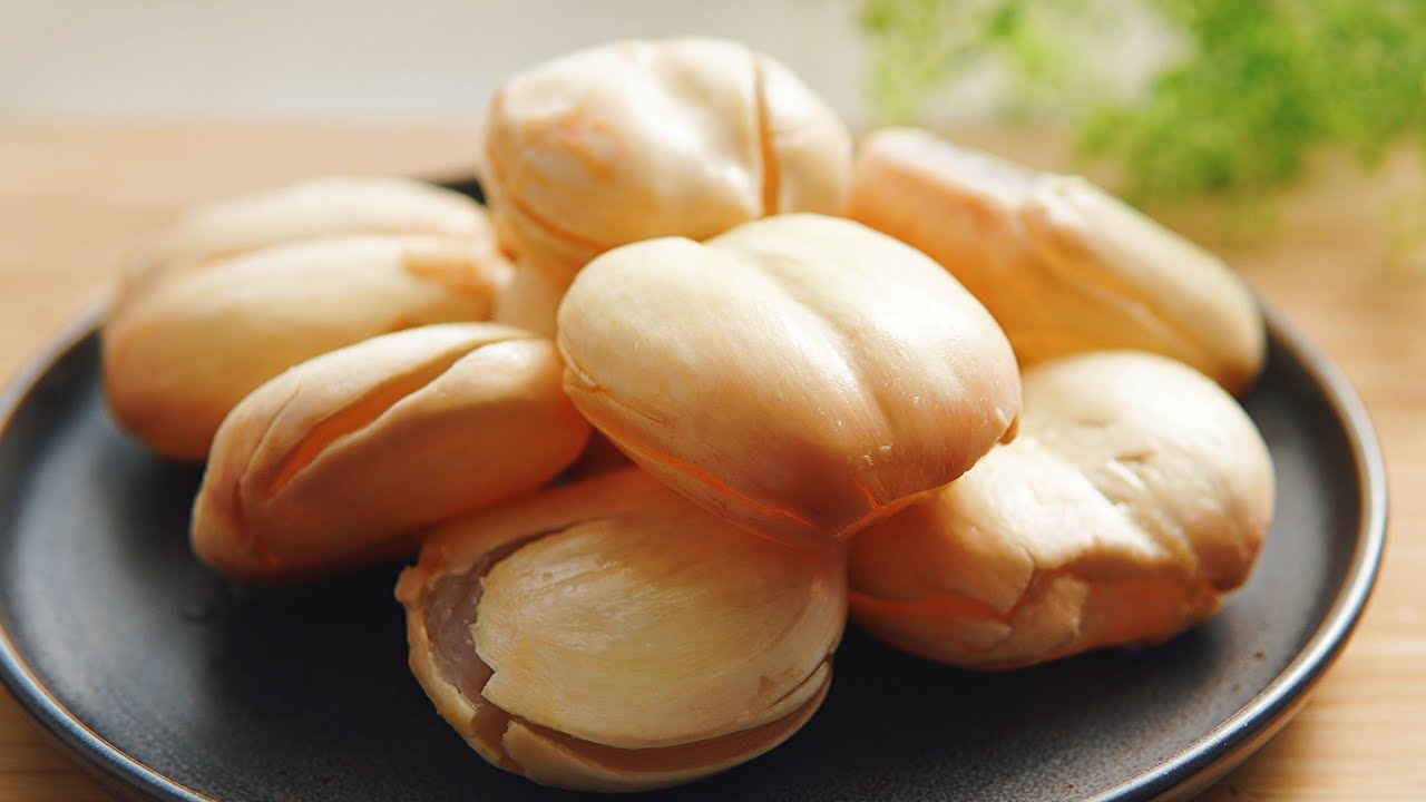 Bobapedia – Sea Coconut